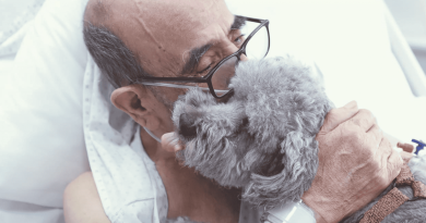 Fwd: [CP] Hospital Clínico U. de Chile permite visitas de mascotas a pacientes críticos con nuevo protocolo humanizado