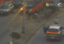 Detienen 2 personas por receptación de vehículo y adulteración de instrumento público