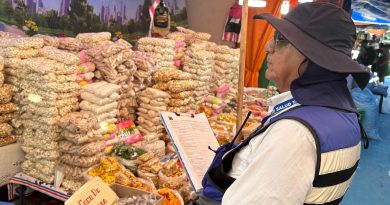 SEREMI de Salud de Tarapacá a la fecha lleva más de 151 kg de decomiso en la fiesta de La Tirana