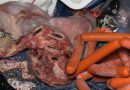 Más de 50 kilos de alimentos fueron decomisados en operativo