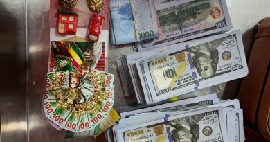 Aduanas detecta contrabando de medio millón de dólares y billetes falsificados en Colchane