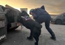 Tiara, Mila y Loki, canes detectores de la Aduana de Iquique, comenzaron su merecido descanso