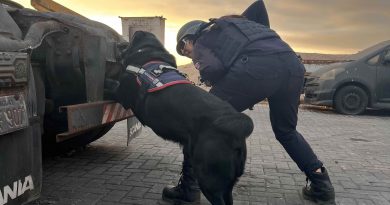 Tiara, Mila y Loki, canes detectores de la Aduana de Iquique, comenzaron su merecido descanso