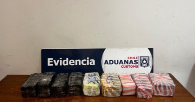 Interceptan cuantioso contrabando de dinero en efectivo: 30 millones de pesos y 370.500 dólares estaban escondidos en bus