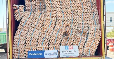 Con portal escáner SAG y Aduanas descubren contrabando de 400 mil huevos en la frontera con Bolivia