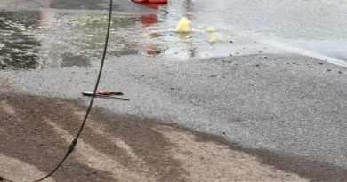 Vecinos denuncian foco de insalubridad tras limpieza incompleta de aguas servidas en avenida Salvador allende