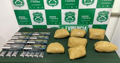 DURANTE CONTROL DETUVIERON A MUJER QUE MANTENÍA DROGA EN LOCAL COMERCIAL DE ALTO HOSPICIO