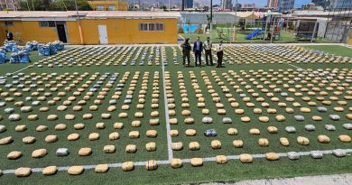 Región concreta la incautación de drogas más grande de su historia: 4 toneladas de marihuana