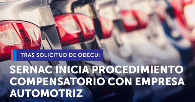 Tras solicitud de ODECU: SERNAC INICIA PROCEDIMIENTO COMPENSATORIO CON EMPRESA AUTOMOTRIZ POR FILTRACIÓN DE DATOS PERSONALES