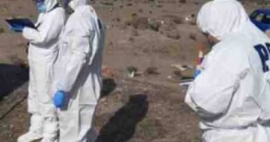 Hallazgo de cuerpo en el desierto de Huara: primeras diligencias apuntan a intervención de terceros  