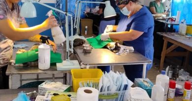 Municipio avanza en asegurar insumos veterinarios para fortalecer la salud animal en Alto Hospicio