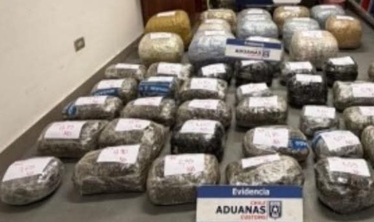 Aduana descubre 110 kilos de marihuana ocultos en cargamento de soya a granel