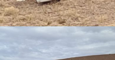 conductor sobrevive tras pasar la noche en quebrada camino a Parca