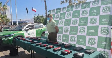 Carabineros de Iquique decomisa más de 114 mil dosis de droga en operativo en sector norte