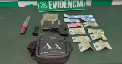 Detenido por porte de arma prohibida e infracción a la Ley de Drogas en Alto Hospicio