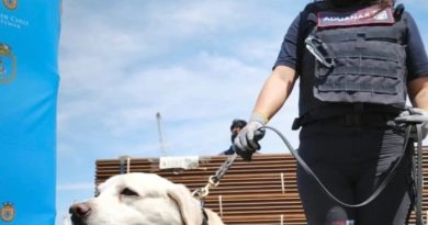 20 toneladas descubiertas en incautación de droga del Puerto de #Arica