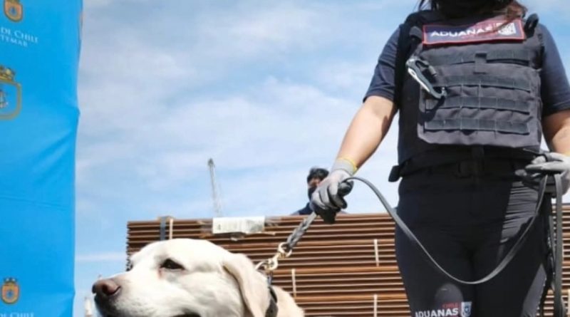 20 toneladas descubiertas en incautación de droga del Puerto de #Arica 20 toneladas descubiertas en incautación de droga del Puerto de #Arica