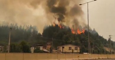 Incendios Forestales Hoy en Chile: Tragedia en el Centro-Sur