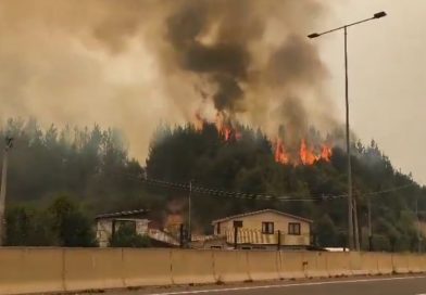 Incendios Forestales Hoy en Chile: Tragedia en el Centro-Sur