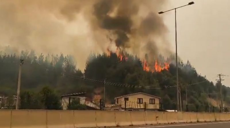 Incendios Forestales Hoy en Chile: Tragedia en el Centro-Sur