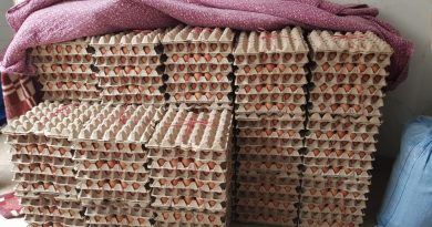 SAG Tarapacá decomisó más de 128 toneladas de productos agropecuarios de ingreso clandestino durante 2025