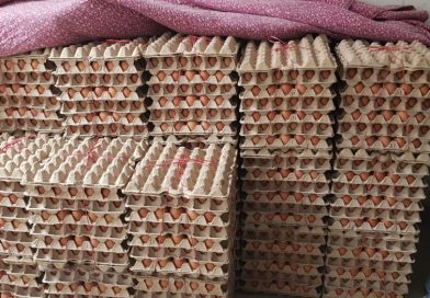 SAG Tarapacá decomisó más de 128 toneladas de productos agropecuarios de ingreso clandestino durante 2025