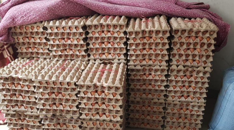 SAG Tarapacá decomisó más de 128 toneladas de productos agropecuarios de ingreso clandestino durante 2025