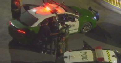 Detienen a cinco hombres por robo de especies desde vehículo