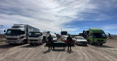 Cinco detenidos por contrabando de vehículos en Colchane