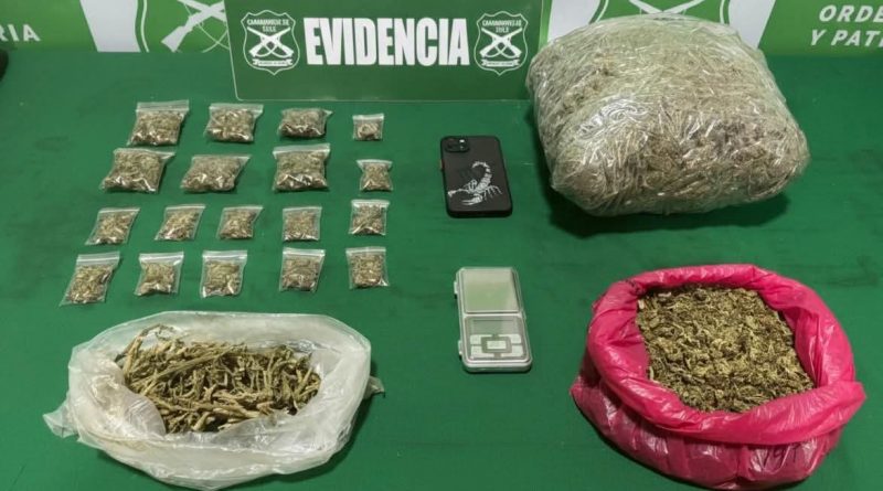 Conductora es sorprendida con más de un kilos de marihuana durante fiscalización