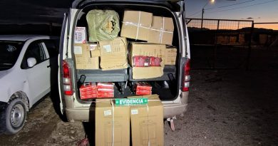 Fiscalización de Carabineros en sector fronterizo de Colchane permite incautar especies de contrabando