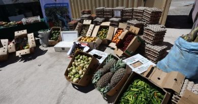 Carabineros del Retén (F) Alcerreca intercepta contrabando de frutas tropicales avaluado en más de  millones en el Altiplano de Arica y Parinacota.