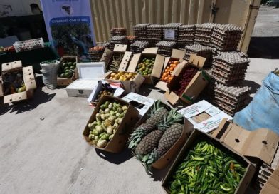 Carabineros del Retén (F) Alcerreca intercepta contrabando de frutas tropicales avaluado en más de  millones en el Altiplano de Arica y Parinacota.