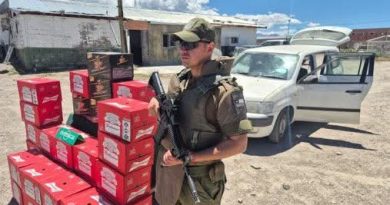Carabineros detienen a sujeto por contrabando ingresando a Colchane