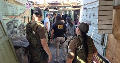 Carabineros y detectives de la PDI realizaron control migratorio en sector Feria Monumental del centro de Iquique