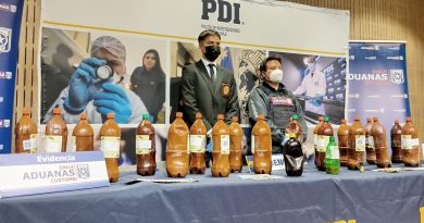 Golpe al tráfico de alucinógenos: PDI detiene a cinco personas tras incautar 58 kilos de ayahuasca en Paso Los Libertadores