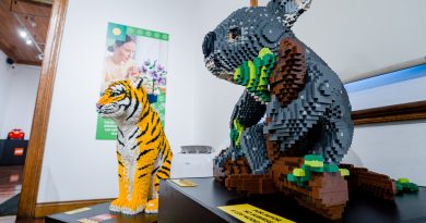 «EXPO LEGO IQUIQUE» EXTIENDE SUS HORARIOS DE LOS SÁBADOS EN SALA DE ARTE CASA COLLAHUASI