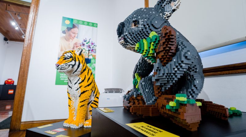 «EXPO LEGO IQUIQUE» EXTIENDE SUS HORARIOS DE LOS SÁBADOS EN SALA DE ARTE CASA COLLAHUASI «EXPO LEGO IQUIQUE» EXTIENDE SUS HORARIOS DE LOS SÁBADOS EN SALA DE ARTE CASA COLLAHUASI