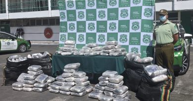 CARABINEROS INCAUTÓ MÁS DE 440 MIL DOSIS DE MARIHUANA