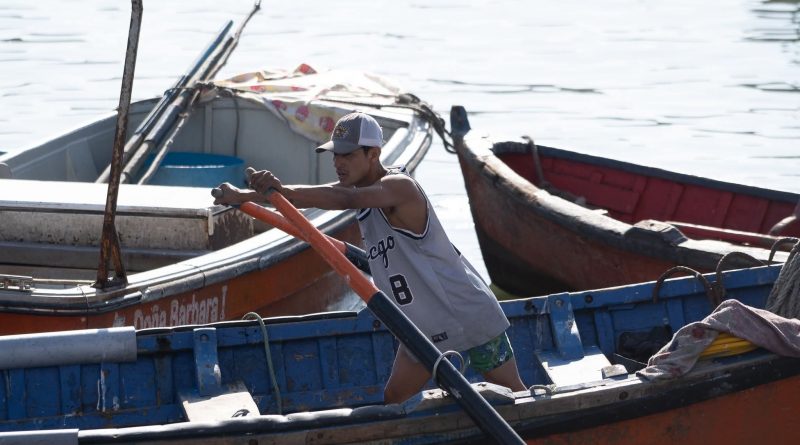 ingresa a CORE proyecto de .800 millones para potenciar la pesca de la región de Tarapacá ingresa a CORE proyecto de .800 millones para potenciar la pesca de la región de Tarapacá