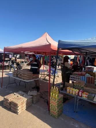 Carabineros, SAG y municipio refuerzan fiscalización al comercio informal en Alto Hospicio Carabineros, SAG y municipio refuerzan fiscalización al comercio informal en Alto Hospicio