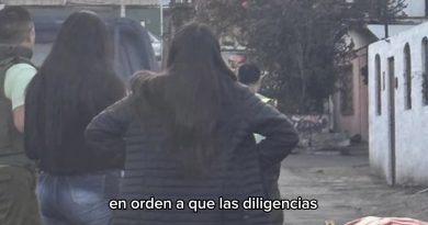 Corte de Apelaciones decretó la prisión preventiva de una mujer de 33 años formalizada por homicidio,