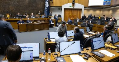 Senado aprueba proyecto que tipifica el ingreso irregular como delito: División en la representación de Tarapacá