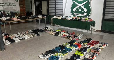 Carabineros incauta 180 pares de zapatillas falsificadas en control carretero en Pozo Almonte*