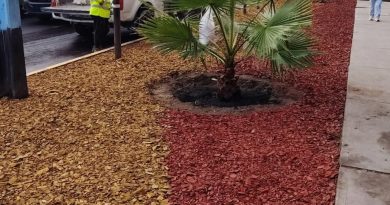 MUNICIPALIDAD DE IQUIQUE AVANZA EN HERMOSEAMIENTO DE BARRIOS CON INNOVADORA Y BENEFICIOSA TÉCNICA