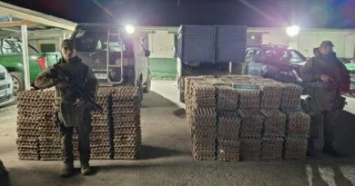 Carabineros de Colchane detiene a tres personas por el delito de contrabando de especies