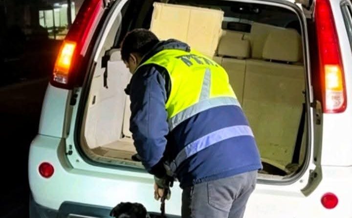 Exitoso operativo antinarcóticos: incautan droga valorada en más de 1.700 millones de pesos y detienen a dos personas Exitoso operativo antinarcóticos: incautan droga valorada en más de 1.700 millones de pesos y detienen a dos personas