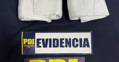 PDI detiene a mujer que intentaba trasladar más de 3 kilos de ketamina desde Iquique a Santiago