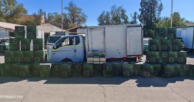 MÁS DE 47 MIL CAJETILLAS DE CIGARRILLOS FUERON INCAUTADAS EN RUTA 5