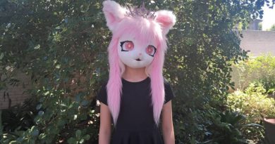 Denuncian agresión contra niña de 10 años en colegio deTemuco tras asistir con máscara de gato